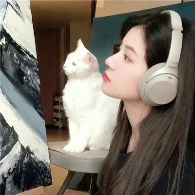 花系列:二